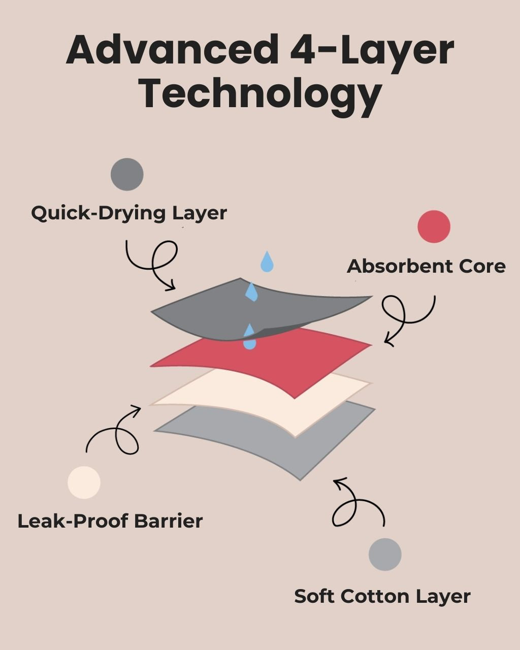 A single green leaf against a white background.